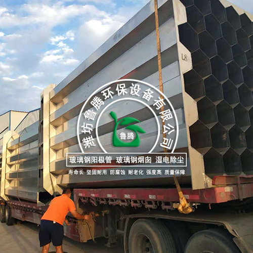 山西某電廠（chǎng）不鏽鋼陽極管